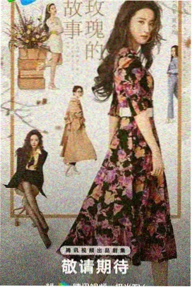 高斯电子公司